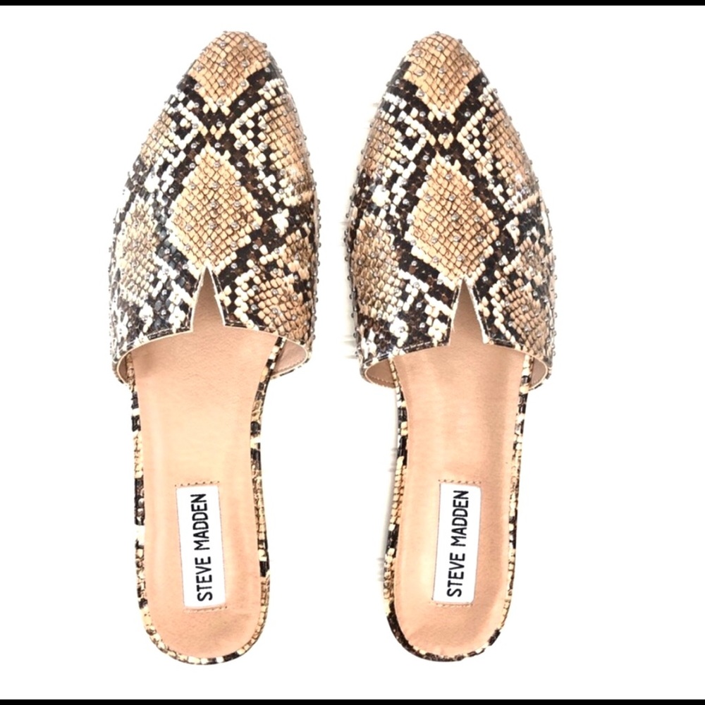 🌟 NWT Steve Madden Ally Snake Studded Mule 11 🌟